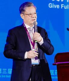 Wang Qi