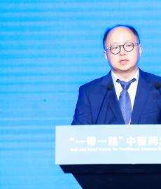 Wang Hainan