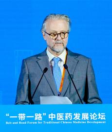 布鲁诺·麦斯尔